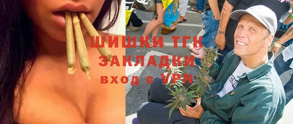 стаф Абинск