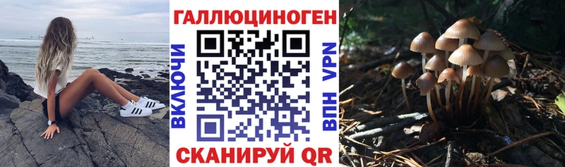 Галлюциногенные грибы Magic Shrooms  Остров 